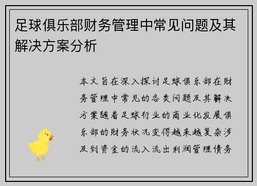 足球俱乐部财务管理中常见问题及其解决方案分析 足球俱乐部财务管理中常见问题及其解决方案分析